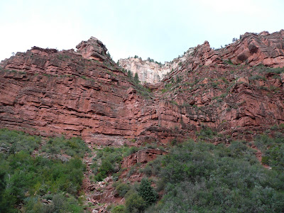 P1020451.JPG