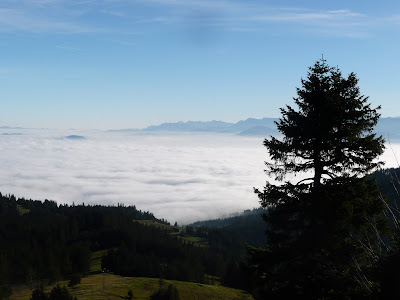 P1030401.JPG
