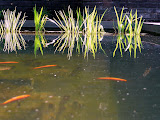 P1030992.JPG