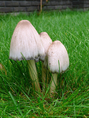 P1040256.JPG
