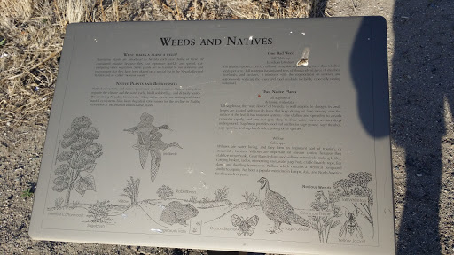 Weeds and Natives