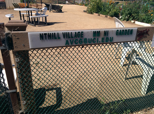 Anthill Village Community Garden 