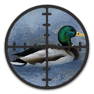 Duck Hunter.apk 1.1