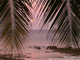 nomad4ever_malaysia_pulau_tioman_CIMG1274.jpg