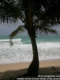 nomad4ever_thailand_phuket_CIMG0976.jpg