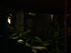 DSC02147.JPG