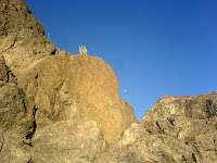 the cactus and the moon are playing hide and seek