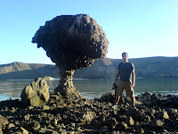 the rock is natural. bryan has preservatives and tastes like ace.