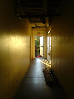inside my new place.  beez is on the fire escape.