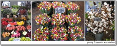 flowers_amsterdam1