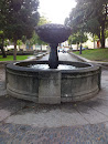 Fountain San Francisco