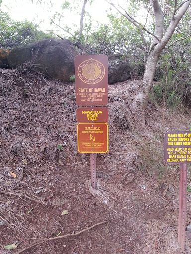 Hawaii Loa Ridge Trail
