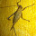 Guatemala Fauna