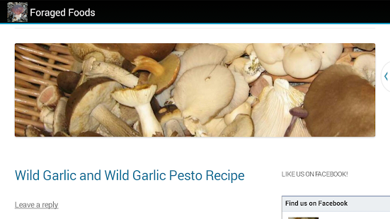 How to get Foraged Foods - Foraging App lastet apk for laptop