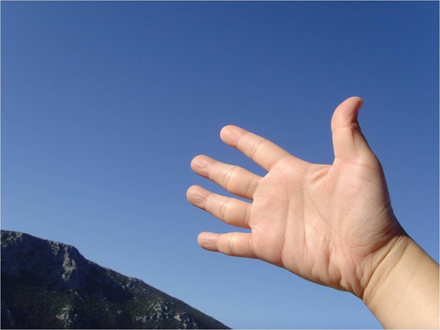 [Picture1[7].jpg]