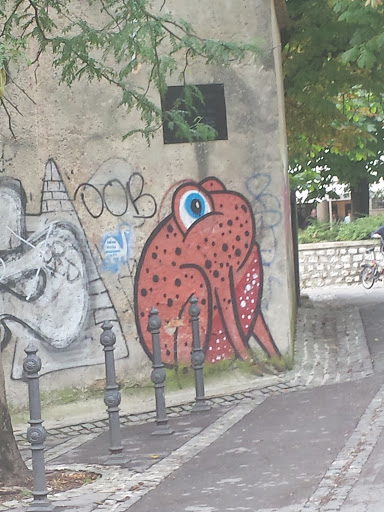 Frog Murales