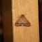 Bordered Straw