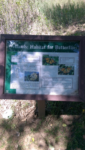 Wetlands: Habitat For Butterflies