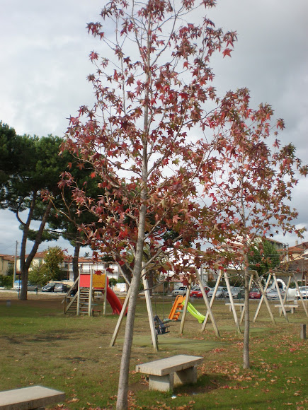 Spotting Image 1