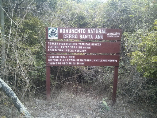 Tercer Piso Biotico Cerro De Santa Ana