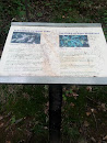 The Oak Of King Mountain Plaque
