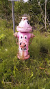 Piggy Hydrant