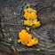 Yellow Brain