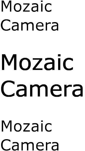 MosaicCamera