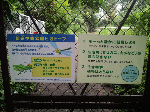 新宿中央公園ビオトープ