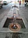 Amwaj Rotana Fountain 