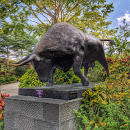 Black Charging Bull Statue