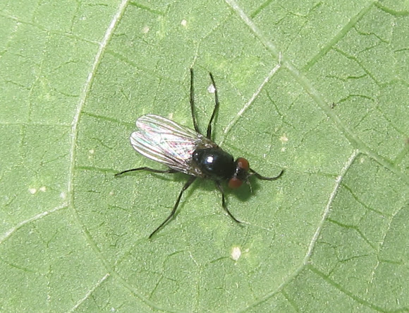 Spotting Image 1