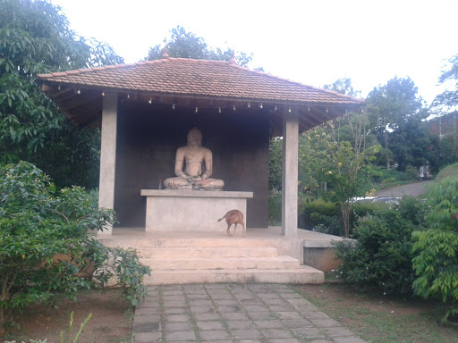 Buddha Statue Peradeniya Hospital