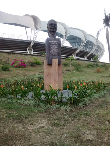 Busto Jorge Herrera