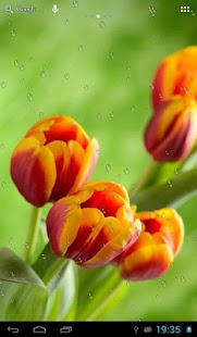 How to install Drops on tulips 0.7 unlimited apk for bluestacks