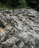 IMG_0496