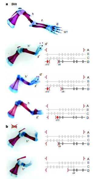 Image 3.png