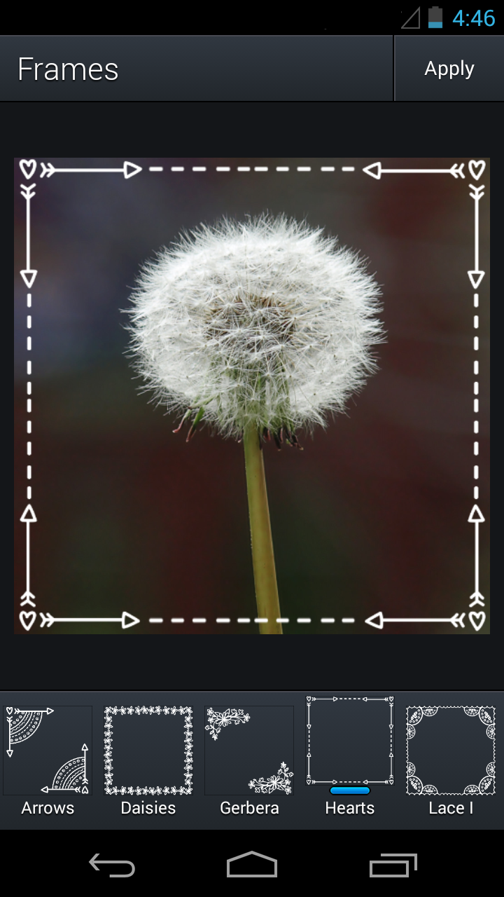 Android application Aviary Frames: Bloom screenshort
