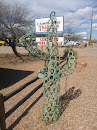 Horseshoe Cactus 