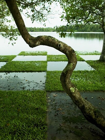 [2208643162_45174c507b[3].jpg]