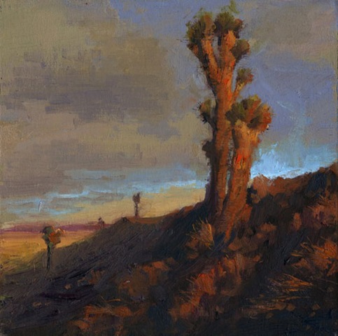 [Joshua Tree 12x12.copy[3].jpg]