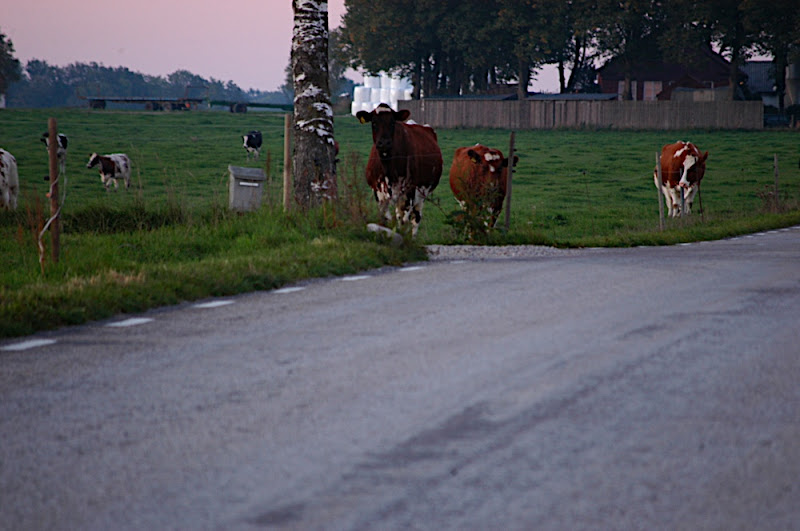 http://lh4.ggpht.com/oskgun/SN1IQHSeATI/AAAAAAAABN8/WyEhhBqFDg8/s800/DSC_0181.JPG