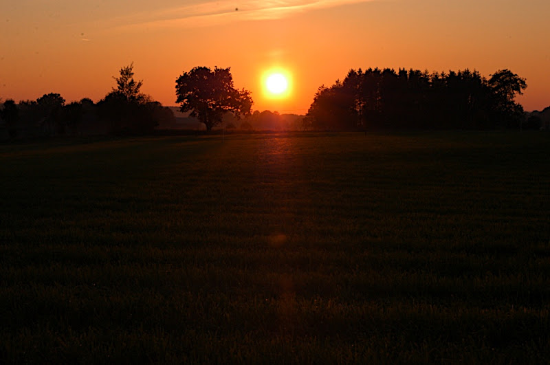 http://lh4.ggpht.com/oskgun/SN1Ic5hLbJI/AAAAAAAABOk/ILFALiduUww/s800/DSC_0142.JPG