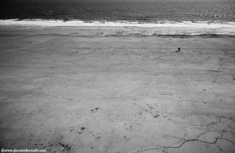 How to install Black and White Photography patch 1.1 apk for bluestacks