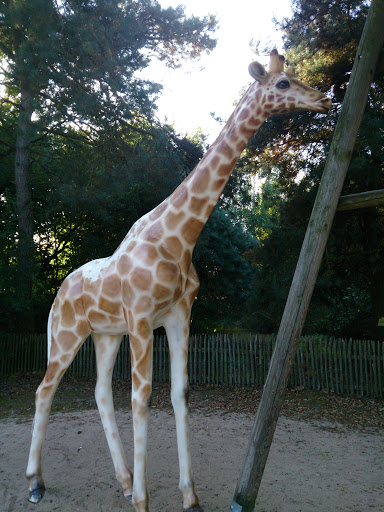 Statue of a Giraffe