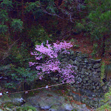 080322-23?????? &ndash; 