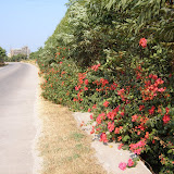 20061029????? &ndash; ?????????????“?”