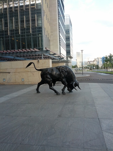 Toro Toro Almaty