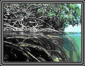 [clip_image002[3].jpg]