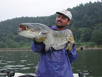 [clip_image002[26][2].jpg]